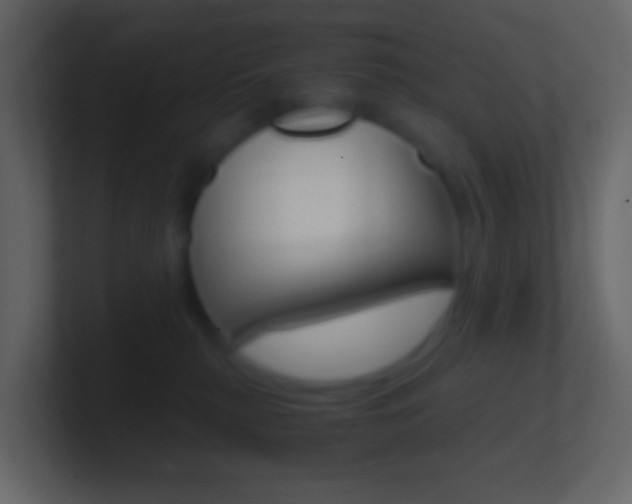 X0000101430279200807071012