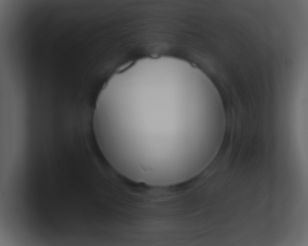 X0000101430280200807071012