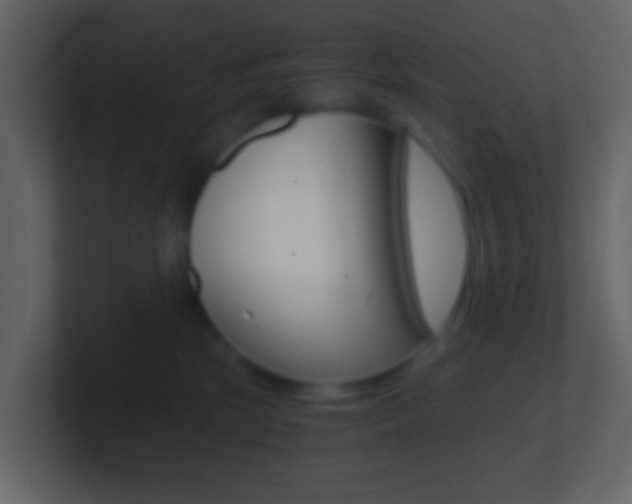 X0000101430281200807071012