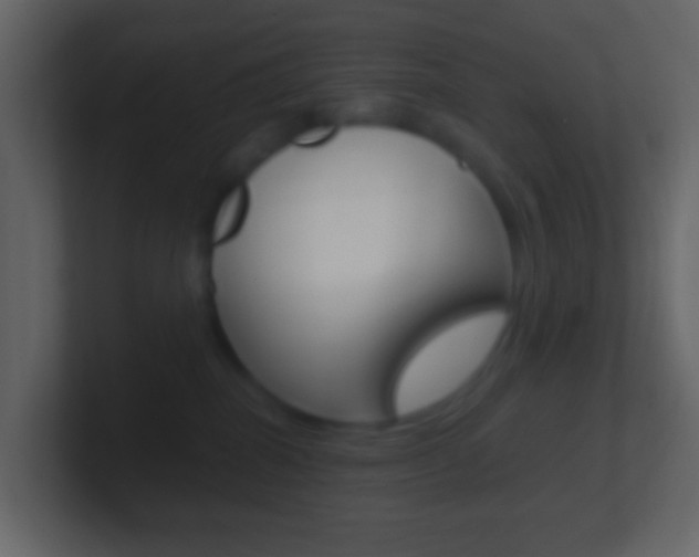 X0000101430282200807071012