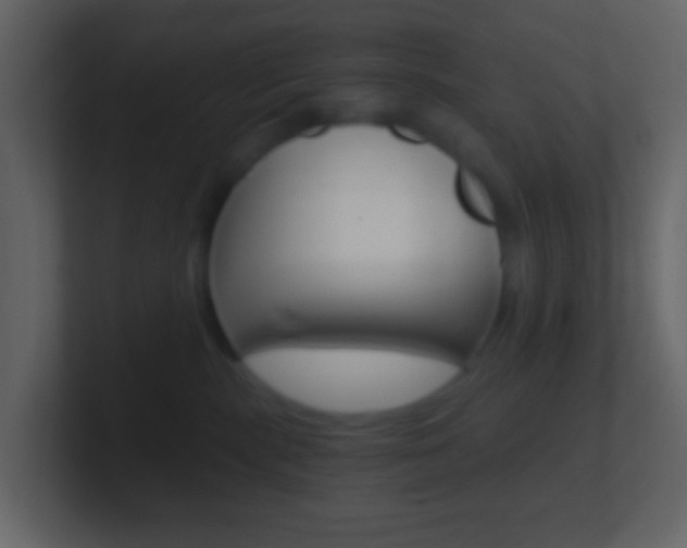 X0000101430283200807071012