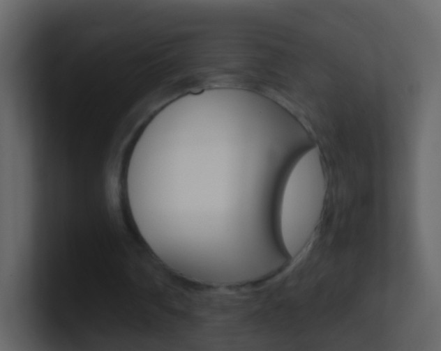 X0000101430290200807071011