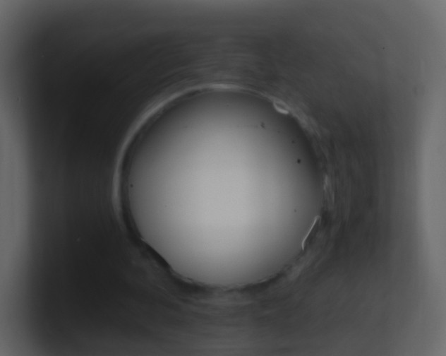 X0000101430292200807071011