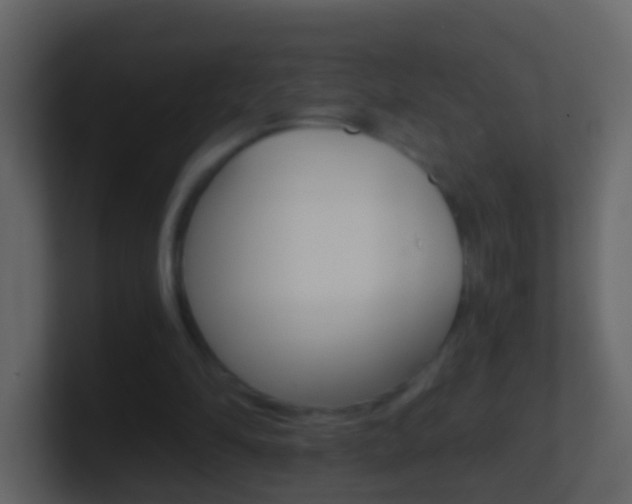 X0000101430294200807071011