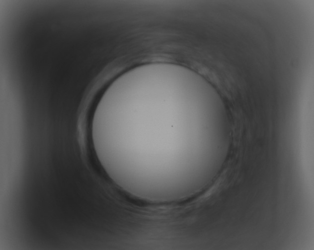 X0000101430295200807071011