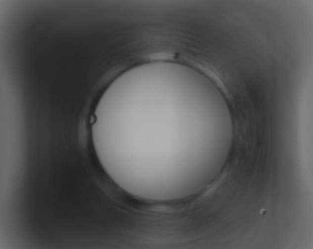 X0000101430298200807071011