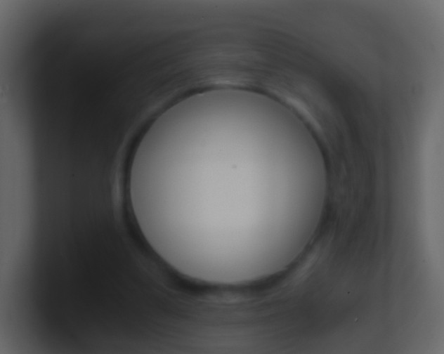 X0000101430299200807071011
