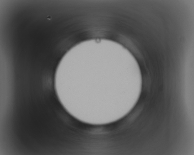 X0000101430309200807071011