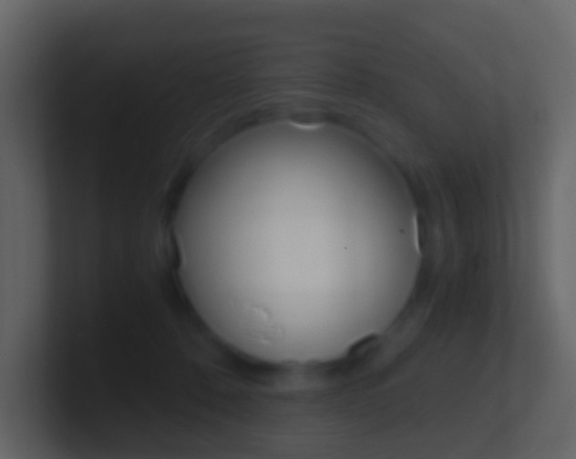 X0000101430320200807071011