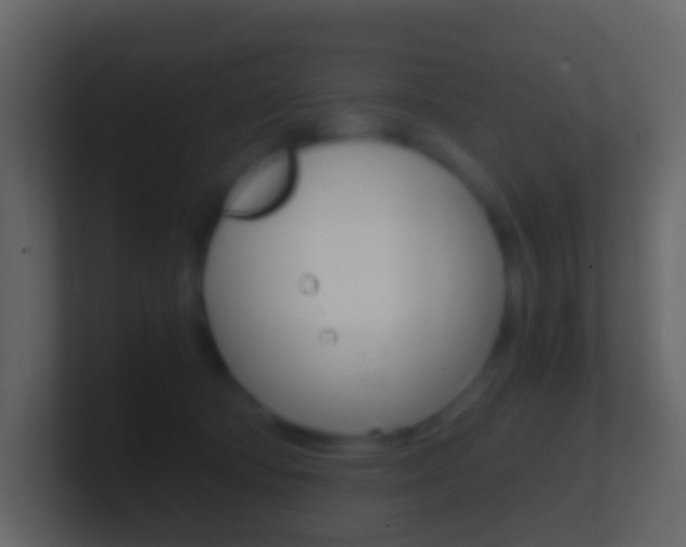 X0000101430322200807071011