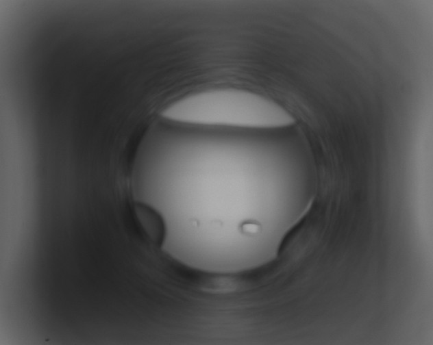 X0000101430324200807071011