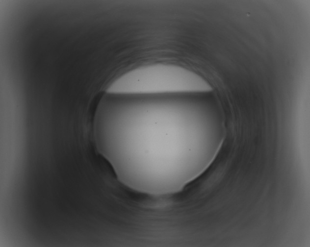 X0000101430328200807071011
