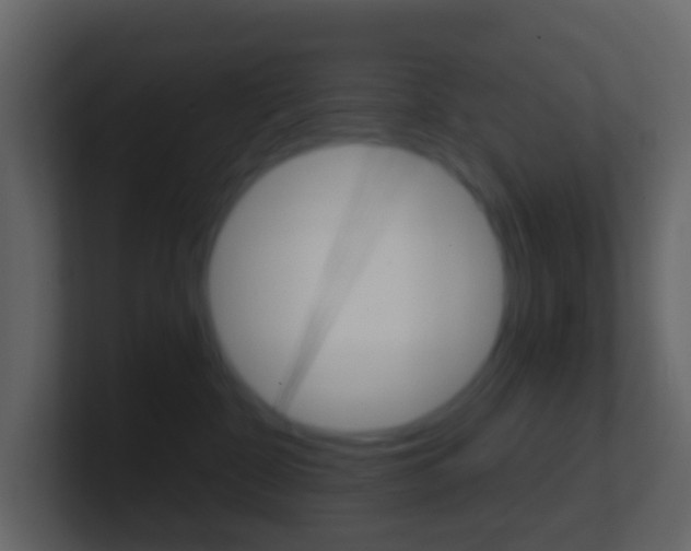 X0000101430332200807071011