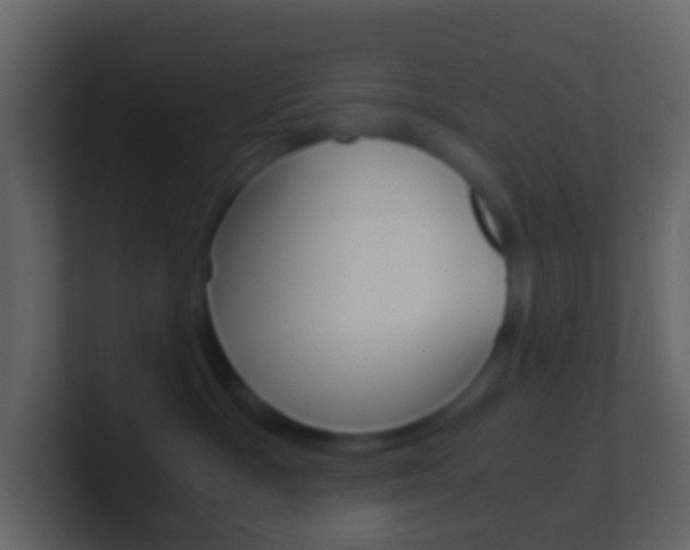 X0000101430333200807071011