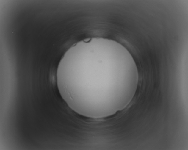 X0000101430334200807071011