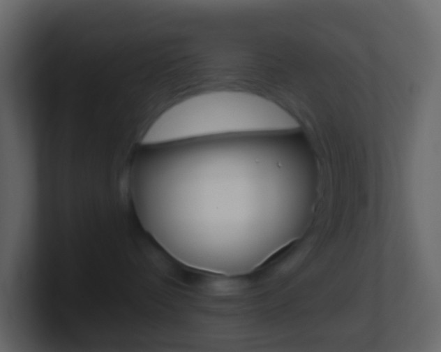 X0000101430336200807071011