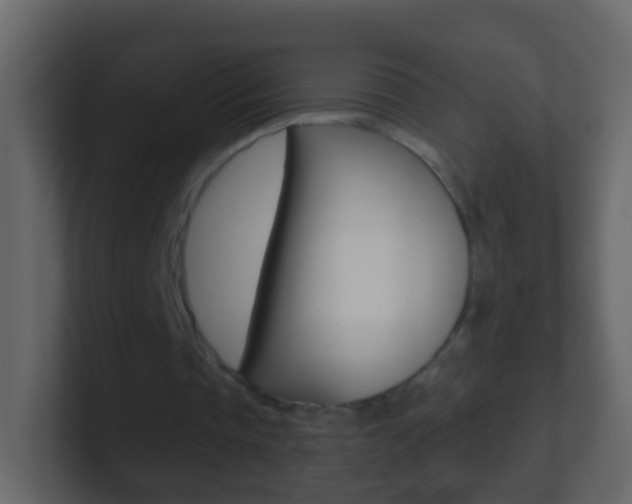 X0000101430337200807071010