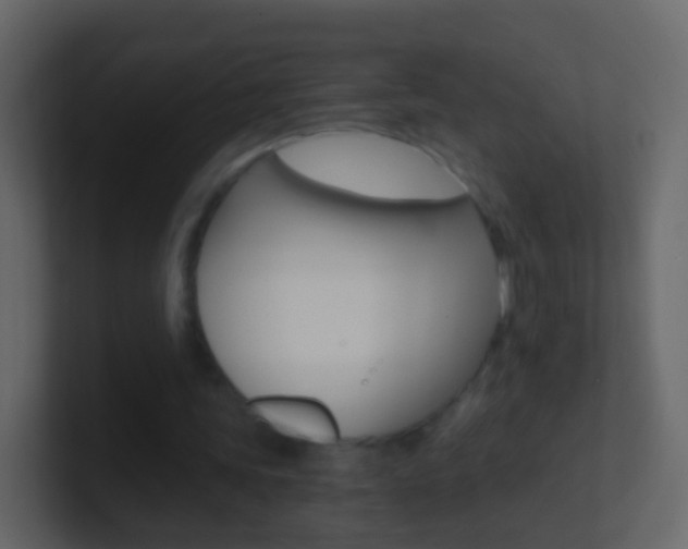 X0000101430339200807071010