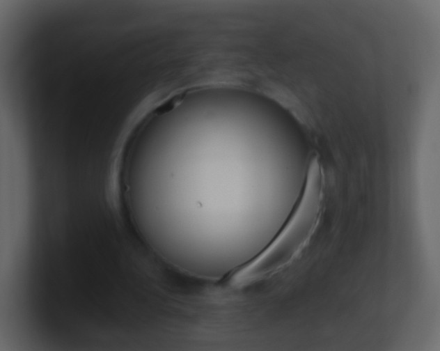 X0000101430340200807071010