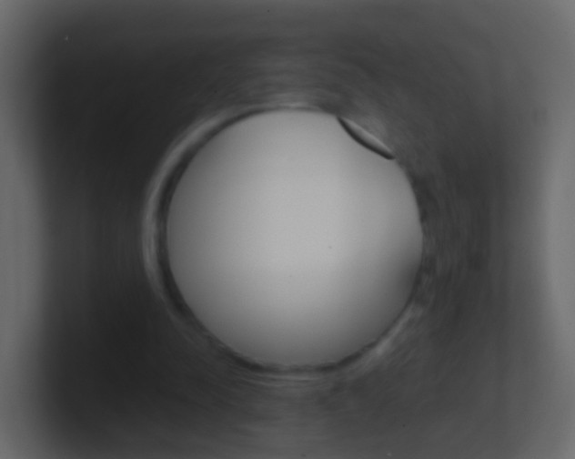 X0000101430342200807071010