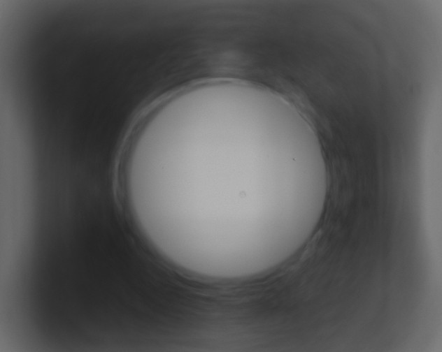 X0000101430344200807071010