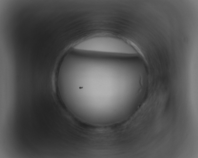 X0000101430345200807071010