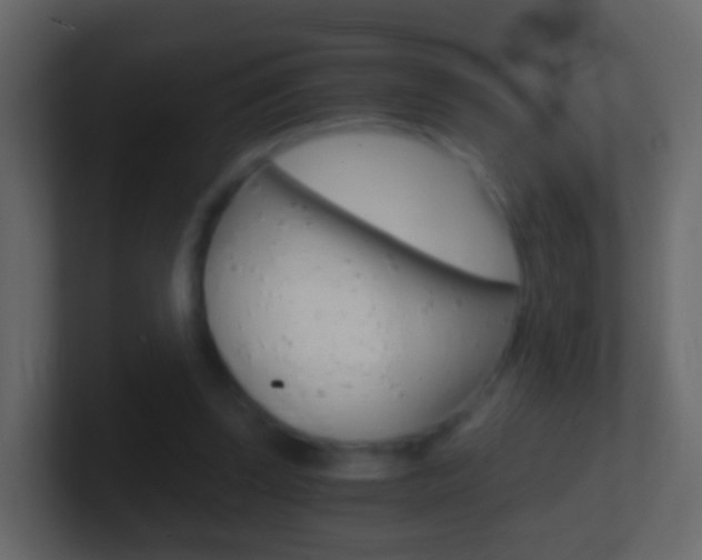 X0000101430347200807071010