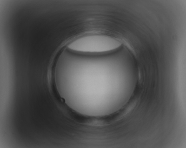 X0000101430348200807071010