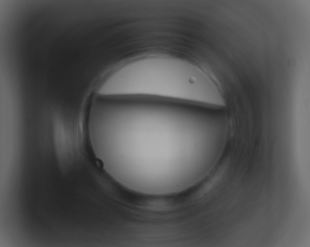 X0000101430349200807071010