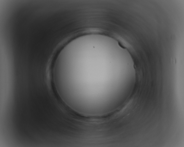 X0000101430350200807071010