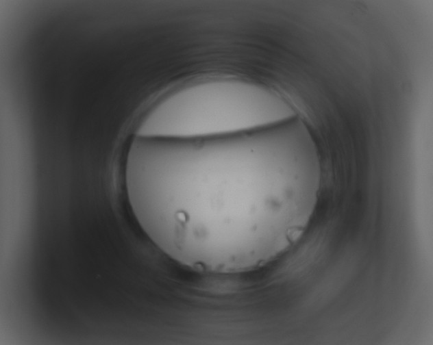 X0000101430351200807071010