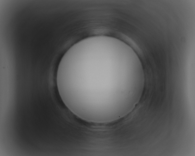 X0000101430354200807071010