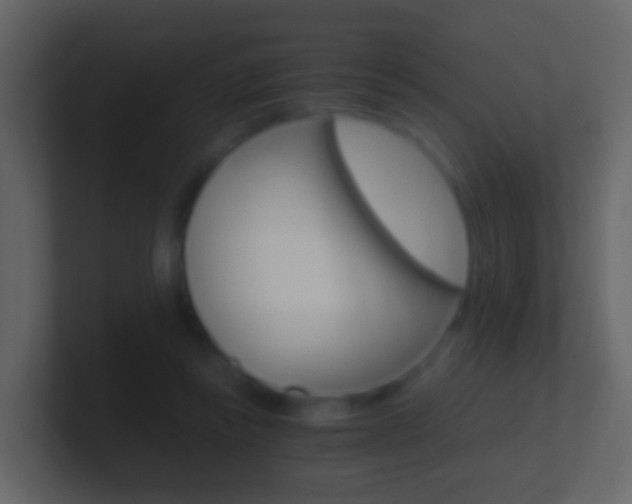 X0000101430355200807071010