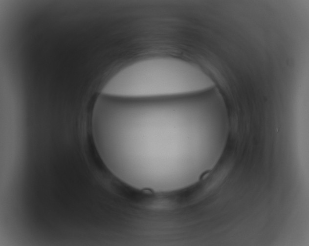 X0000101430356200807071010