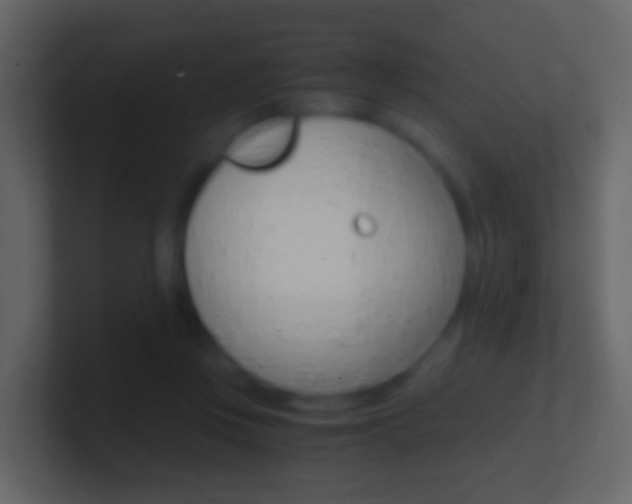 X0000101430359200807071010