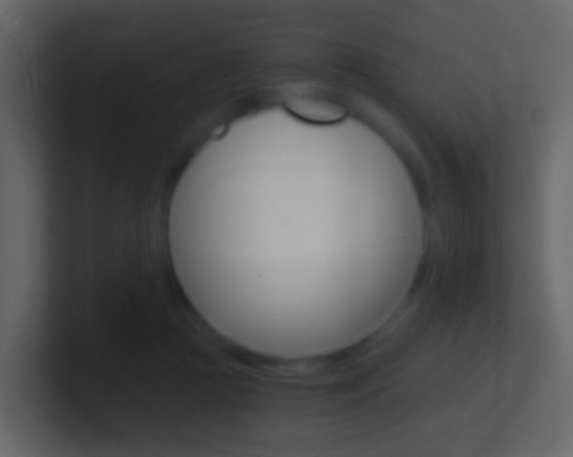 X0000101430361200807071010