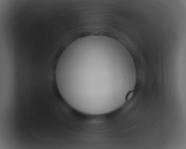 X0000101430368200807071010