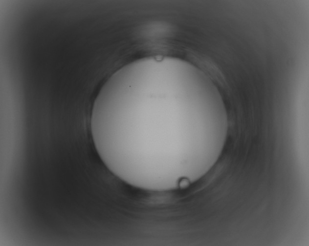 X0000101430369200807071010