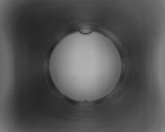 X0000101430373200807071010