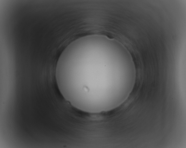 X0000101430376200807071010