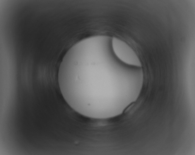 X0000101430377200807071010