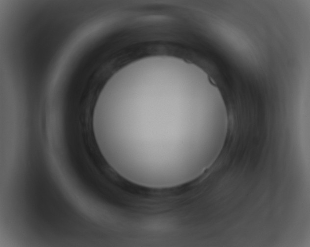 X0000101430381200807071011