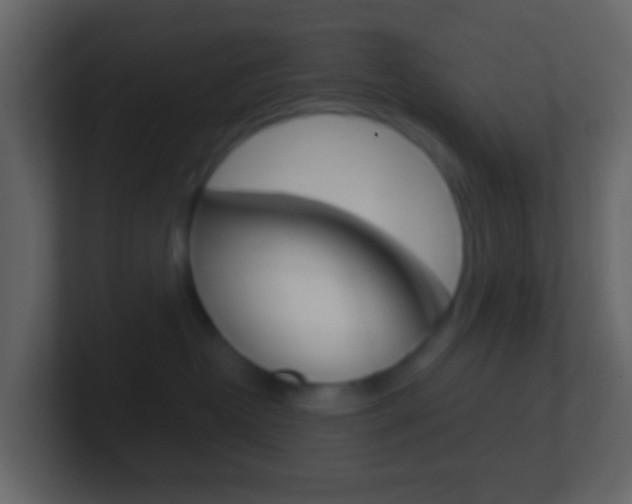 X0000101430382200807071011