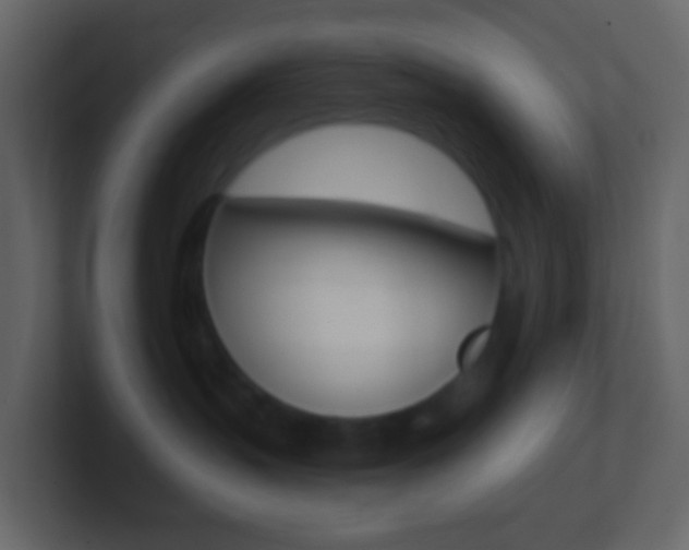 X0000101430383200807071011