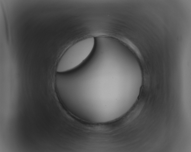 X0000101430385200807071010