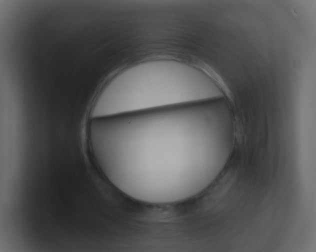X0000101430386200807071010