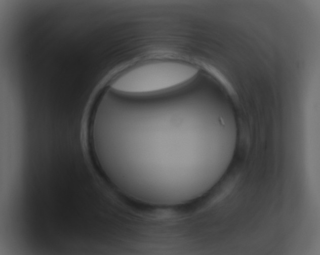 X0000101430391200807071010