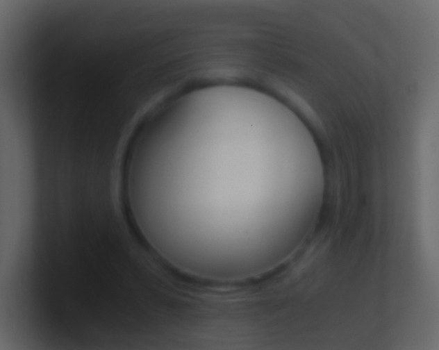 X0000101430399200807071010