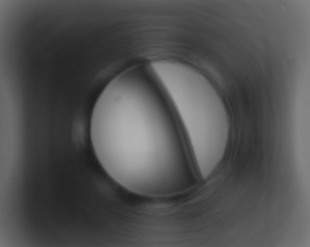 X0000101430404200807071010
