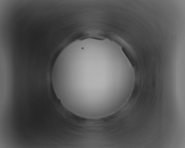 X0000101430405200807071010